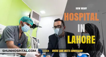 Exploring Lahore's Healthcare: A Comprehensive Guide to Hospitals in the City