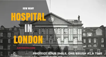 Exploring London's Healthcare: A Comprehensive Guide to Its Hospitals