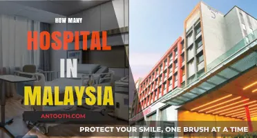 Exploring Malaysia's Healthcare: A Comprehensive Guide to Hospital Counts