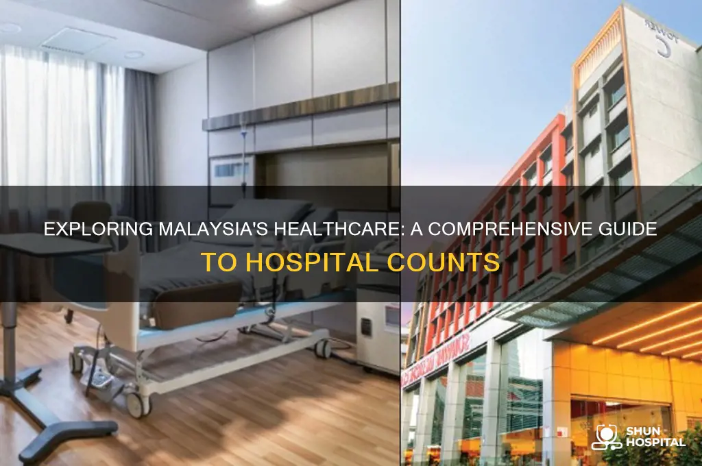 how many hospital in malaysia