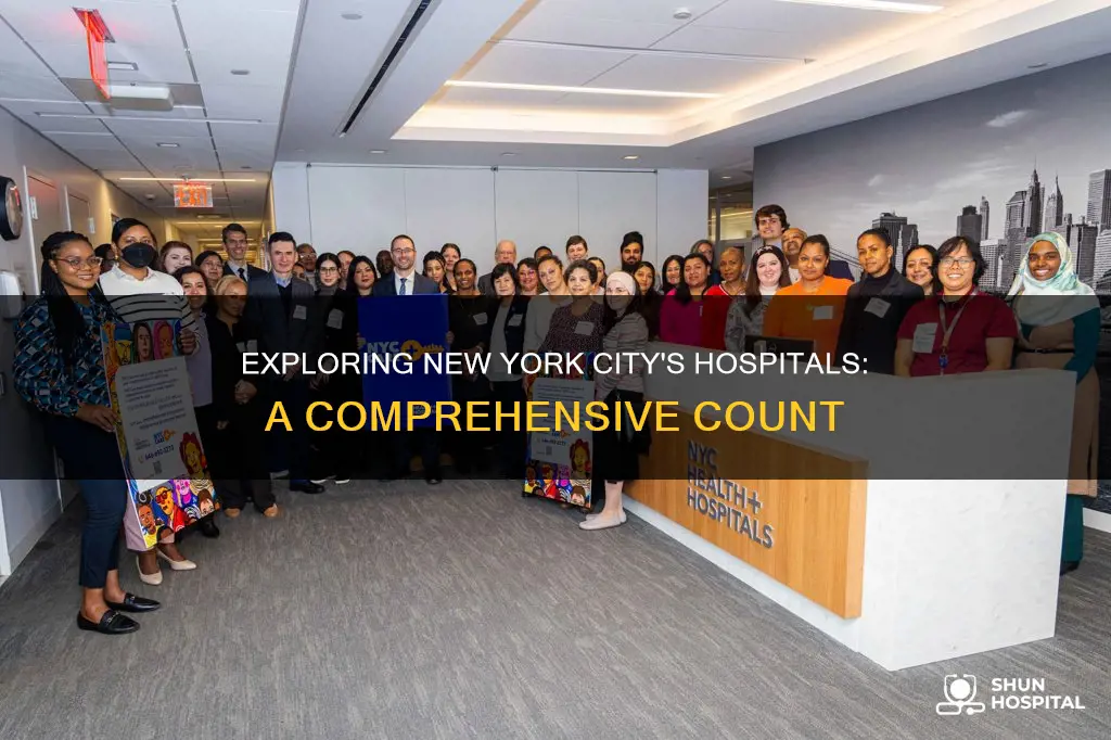 how many hospital in new york city