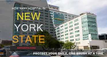 Exploring New York's Extensive Hospital Network