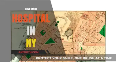 Exploring New York's Healthcare: A Comprehensive Guide to Hospitals in NY