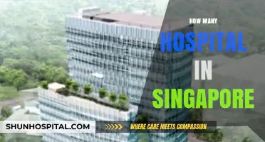 Exploring Singapore's Healthcare: A Comprehensive Guide to Its Hospitals