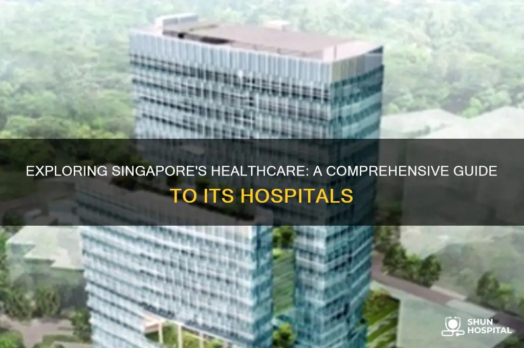 how many hospital in singapore