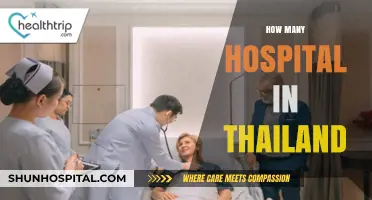 Exploring Thailand's Healthcare: A Comprehensive Guide to Hospital Numbers