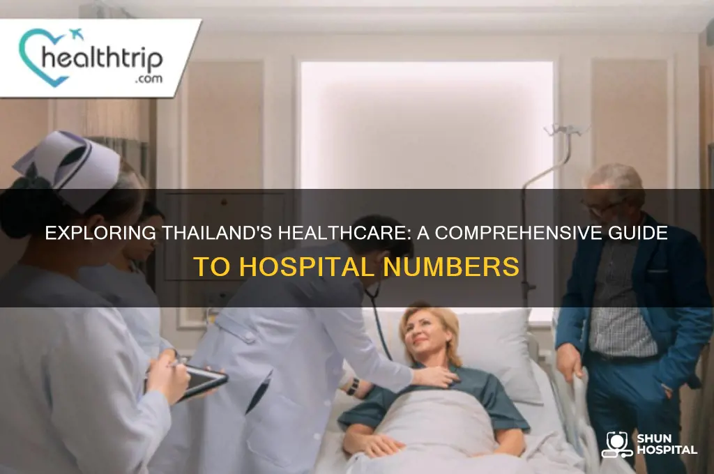 how many hospital in thailand