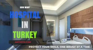 Exploring Turkey's Healthcare Infrastructure: A Comprehensive Guide to Hospitals
