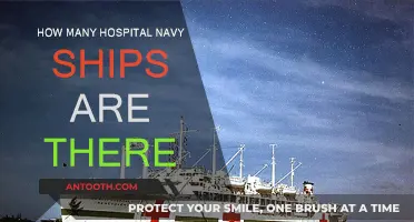Hospital Navy Ships: How Many Are There?