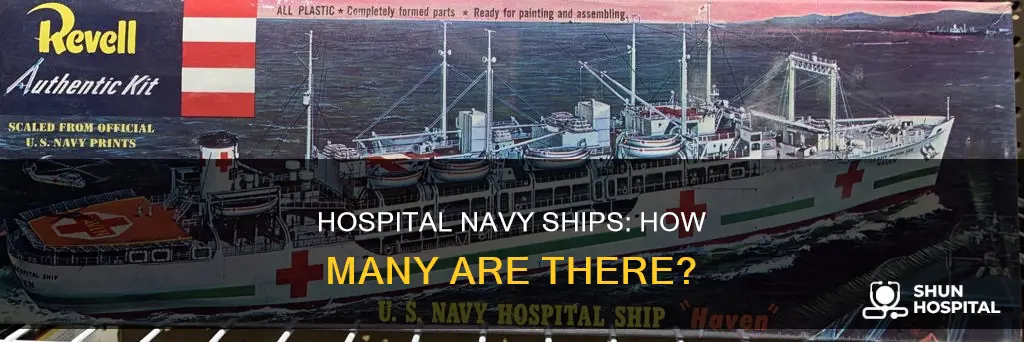 how many hospital navy ships are there