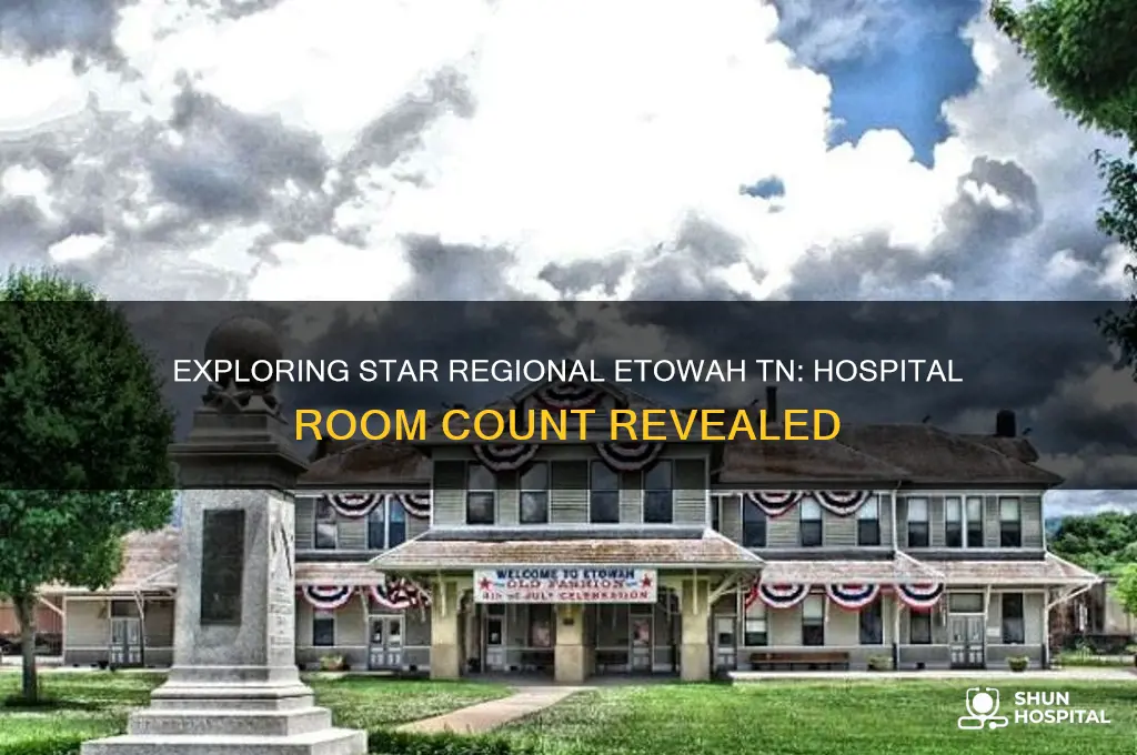 how many hospital rooms in star regional etowah tn