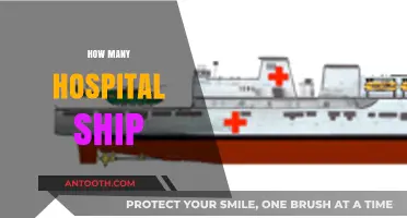 Exploring the Global Fleet: How Many Hospital Ships Exist Today?