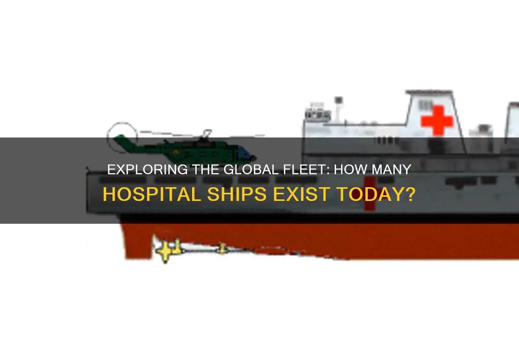 how many hospital ship