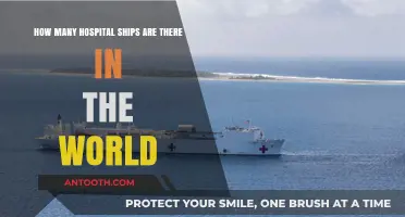 Global Fleet: Exploring the Number of Hospital Ships Worldwide