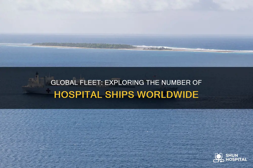 how many hospital ships are there in the world