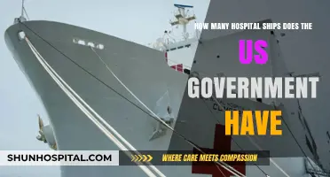 US Government's Hospital Ship Fleet: Current Count and Capabilities