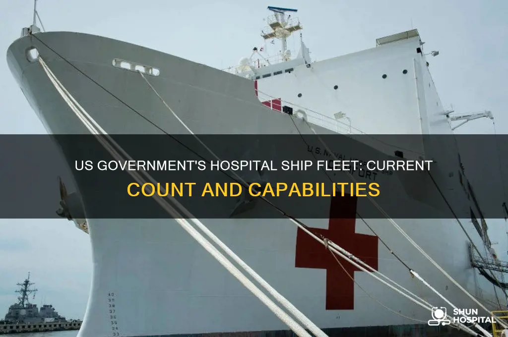 how many hospital ships does the us government have