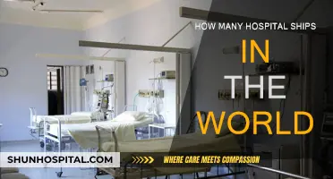 Hospital Ships: A Global Count and Overview