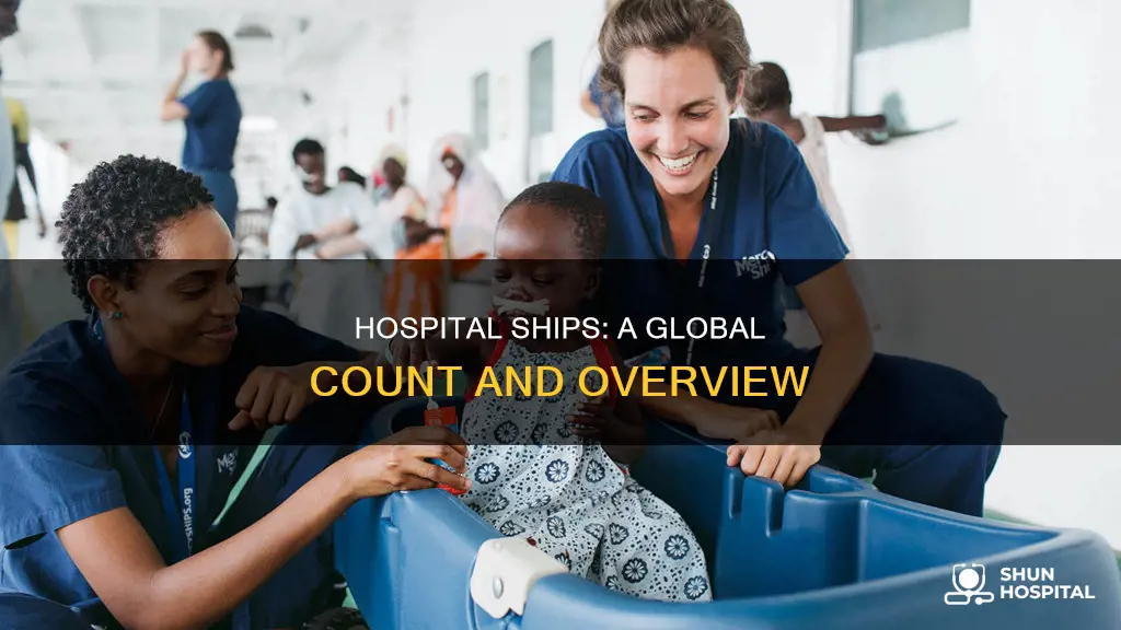 how many hospital ships in the world