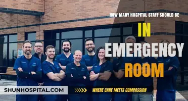 Optimal Emergency Room Staffing: Balancing Patient Care and Efficiency