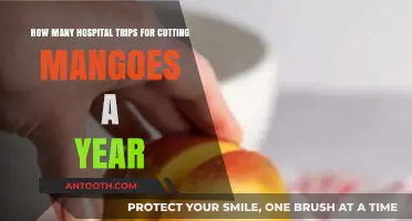 Mango Cutting Mishaps: Annual Hospital Visits and Safety Tips