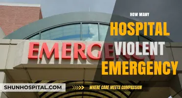 Understanding Hospital Violence: Emergency Incidents and Their Impact on Healthcare