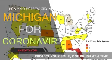 Michigan's COVID-19 Hospitalization Figures