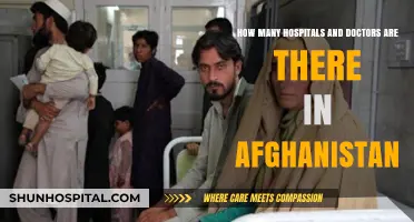 Afghanistan's Healthcare System: Counting Hospitals and Doctors Amid Challenges