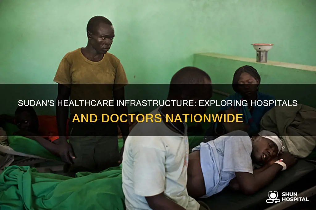 how many hospitals and doctors are there in sudan