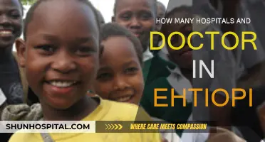 Healthcare in Ethiopia: Hospitals and Doctors Availability
