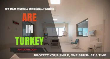 Exploring Turkey's Healthcare Infrastructure: Hospitals and Medical Facilities Count