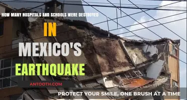 Mexico's Earthquake Toll: Hospitals and Schools Destroyed in Devastation