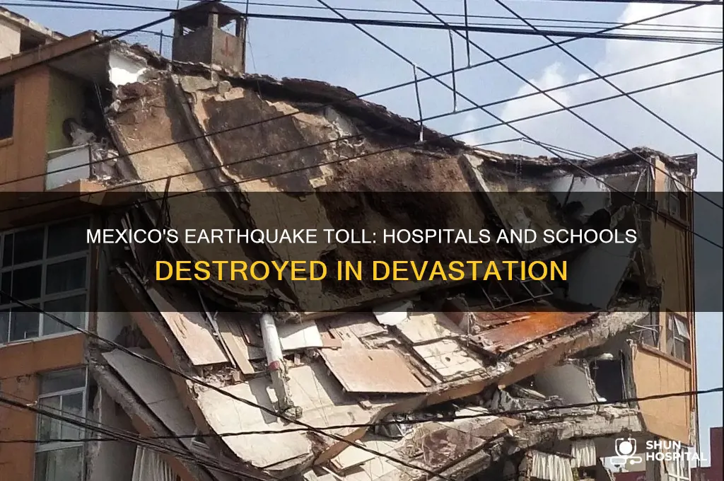 how many hospitals and schools were destroyed in mexico