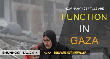 Gaza's Healthcare System: Number of Functioning Hospitals