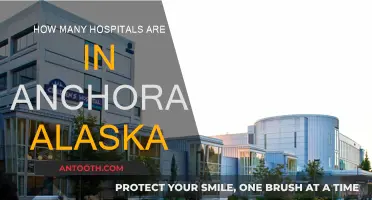 Anchorage, Alaska: Hospitals and Healthcare Options
