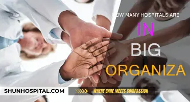 Hospitals Inside Big Organizations: How Many Are There?