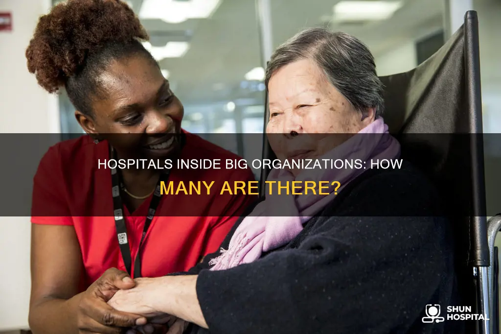 how many hospitals are in big organizations