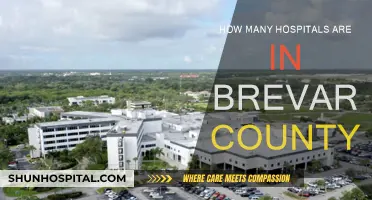 Brevard County's Healthcare: Hospitals and More