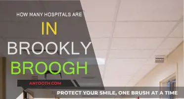 Brooklyn's Healthcare: A Comprehensive Hospital Network