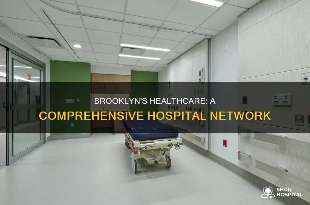 how many hospitals are in brooklyn broogh