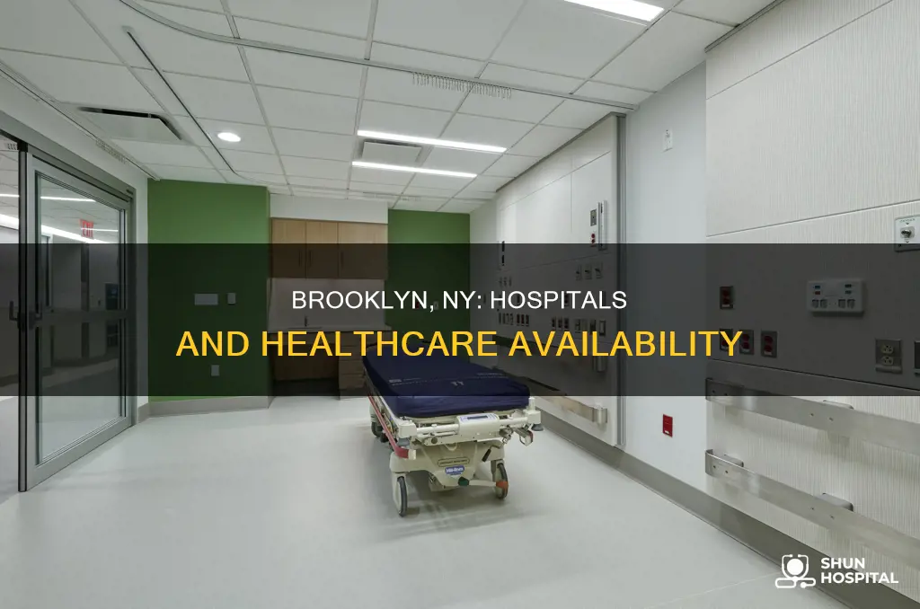 how many hospitals are in brooklyn ny