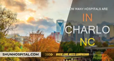 Charlotte, NC: Hospitals and Healthcare Provision