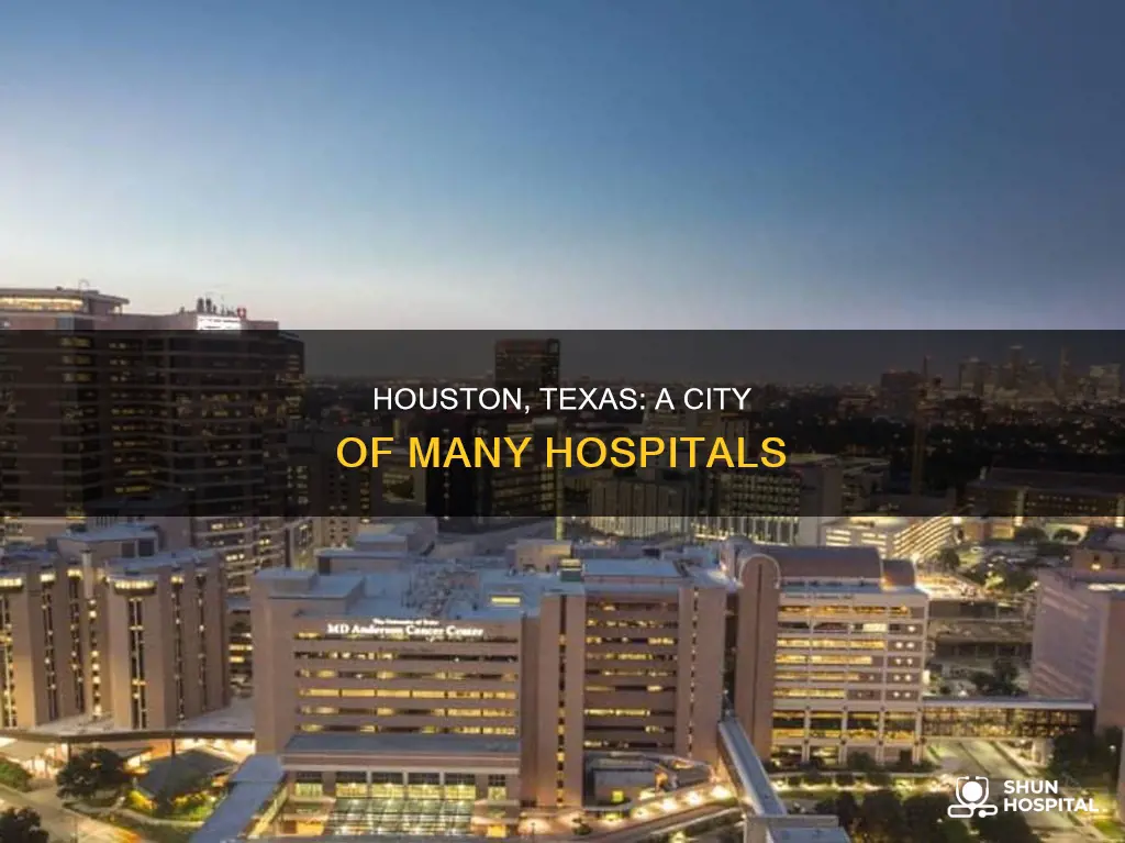 how many hospitals are in houston texas