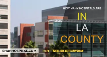 Exploring LA County: Hospitals and Healthcare Accessibility