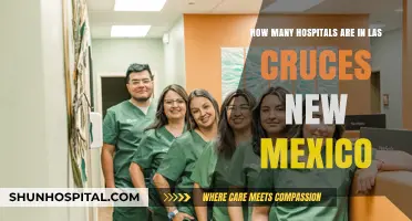 Exploring Las Cruces, NM: Total Number of Hospitals Revealed