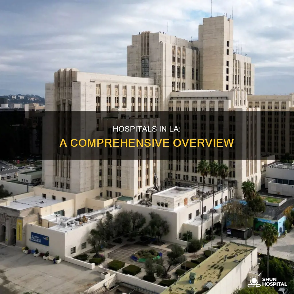 how many hospitals are in los angeles