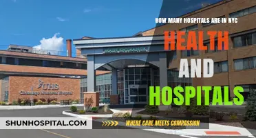 Exploring NYC's Health and Hospitals: A Comprehensive Facility Count
