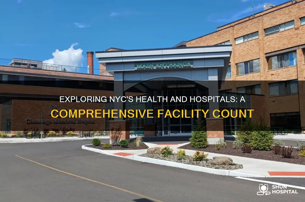 how many hospitals are in nyc health and hospitals