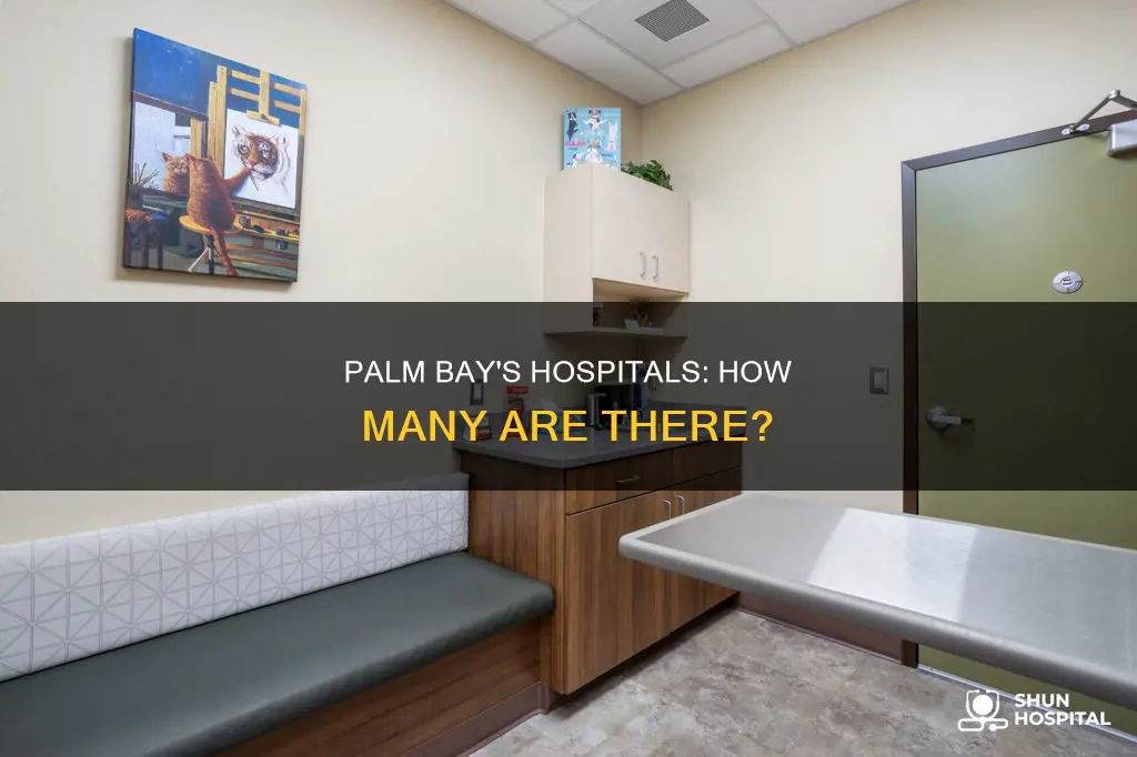 how many hospitals are in palm bay