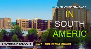 Exploring South America's Healthcare: Hospital Count